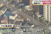 小2のガキが横断歩道ない道路を渡ってトラックにはねられ死亡　運転手「まさか横断してくるとは…」