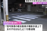 【速報】横断歩道で10歳女の子を車ではねたスリランカ国籍の男を現行犯逮捕「日本語がわからない」日本語わからんやつが何故日本で車運転出来るんだ？