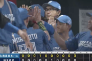 日本ハムファイターズ、連敗脱出ｷﾀ━━━━(ﾟ∀ﾟ)━━━━!!