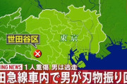 【通り魔】小田急線車内で男が刃物振り回し乗客4人がケガをする事件が発生！男はそのまま逃走するも身柄を確保