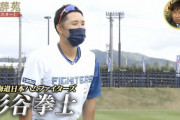 【球辞苑】日ハム杉谷、バスターについて語る