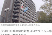 兵庫＋４３０００人前後 |  画像見たら4300人戦後のほうがツッコミどころやんけ