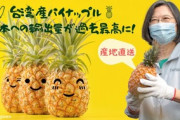 【日台友好】蔡英文総統「台湾産パイナップルを応援してくださる日本の皆さん、ありがとうございます！」