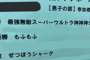 彡(ﾟ)(ﾟ)「ドッヂボール大会のチーム名か...」