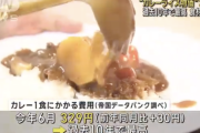 【悲報】「カレーライス物価」過去10年で最高に。円安や猛暑が影響。ありがとう自民党