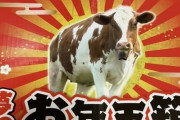 【画像】ヨドバシの福袋届いたから開封するぞ～ｗｗ