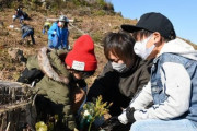 【朗報】森林組合さん、SDGs活動としてスギの苗木を500本植える！10年で合計9000本を植える予定！