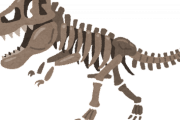 【すげえ】ティラノザウルスの「化石」ゴツすぎだろ→ｗｗｗｗｗｗｗ