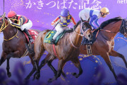 第27回 かきつばた記念(JpnIII)