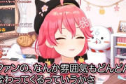 Vtuber 【さくらみこ】「画像付き」みこが古参35P(35PP)の内輪ネタに対して苦言を呈したその内容とそれによってキレて頭おかしいことしはじめる古参35PPの行動