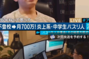 【画像】月収700万円稼いだ天才中学生、アンチのことをアリだと思っていたｗｗｗｗ