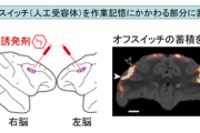 【衝撃】脳のスイッチをオフにして「記憶を削除する薬」が開発される