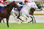 ワイニート、競馬で90万負けてしまう