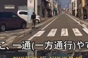 【悲報】一通逆走軽自動車女さん、注意に口答えしてしまうｗｗｗｗｗｗｗｗｗｗ