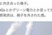 西村ひろゆき　EUは原発をグリーンな投資先と認定 SDGsとかグリーン電力とか言ってた反原発派、梯子を外された感  [1/5]