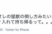 【乃木坂46】速攻反応しててワロタwww 武井壮『飛鳥ちゃん、オレの猛獣の倒し方みたいなことを。。。』