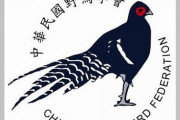 【台湾】野鳥学会、国際NGOから「破門」 中国に忖度した文書への署名拒否