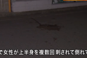 大阪・堺市の路上で20代女性が複数回刺され死亡　自称交際相手の男子大学生を現行犯逮捕　「殺そうとしたかは思い出せない」など供述