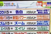 ハラスメントが乱立しすぎてもはや意味不明。脈なしで告白する事すらハラスメント