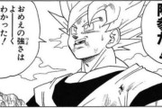 悟空がセル戦の時に敗北を認めて悟飯に戦わせたけどこれって舐めプだよな？ｗｗｗｗｗｗｗｗｗｗｗｗｗｗｗｗｗｗｗ