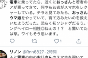 【朗報】ウマ娘おじさん、電車内で多数目撃「知らないおじさんが隣でウマ娘やってる…」