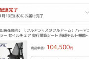 【朗報】10万の椅子｢セイルチェア｣、無事届く