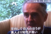 【悲報】 邪悪な白人さん「白人のIQは平均100、黒人は85。これで共存しようという方が無理だろ！」