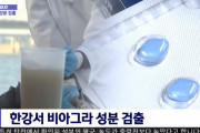 【韓国】ソウル下水から高濃度のバイアグラ成分検出！30代韓国人男性の約23％がED！