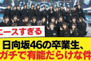 日向坂46の卒業生、ガチで有能だらけな件【日向坂46HOUSE】#日向坂46 #日向坂 #日向坂で会いましょう #乃木坂46 #櫻坂46