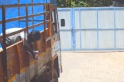 【WTF】トラックの荷台を修理していた男に起きた危ない事故の映像。