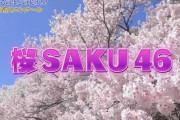 【櫻坂46】Buddies花火師の作品『桜 SAKU 46』打ち上げの様子がこちら！【隅田川花火大会】