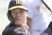 阪神から4選手が日本代表に選出　佐藤輝「日の丸のユニホームを着て、しっかり活躍できるように」