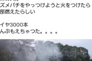 近所のじいさん「スズメバチが出て困ってる？業者呼ぶと金掛かるからワシが火炎放射で駆除してやるわ！」