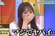 【日向坂46】ひよたん、裏で大暴れしていたwww