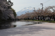 【4月】青森弘前ひとり旅