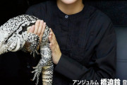 【アンジュルム】橋迫鈴、ついに爬虫類雑誌の表紙になる【ビバリウムガイド】