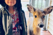 子供が小鹿の友達を連れて帰ってきた！びっくりだけどほっこりするリアル・ファンタジー（アメリカ）