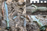 海外の反応　ドイツで3000年前の「保存状態が非常に良い」激レア剣が発見される！