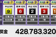 WIN5的中1票で払戻金4億2878万3320円←これ当てたやつ