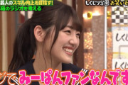 【日向坂46】アルピー酒井さん「マジでみーぱんファンなんですよ」しくじり先生Abema完全版で告白wwww