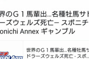 【釣られた血統評論家】水上学先生　サドラーズウェルズを追悼してしまうｗｗｗｗｗ