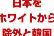 韓国「我々の恐るべき対日報復を教えよう…それは、日本をホワイト国から除外することだ！」　　正気を失ったか…