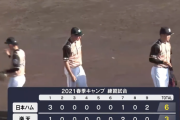 【朗報】日本ハムファイターズ、若手が躍動する　