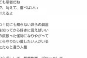 岡田奈々の作詞した「ネット弁慶の皆様へ」がAKBファンを煽りまくってると炎上