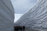 【富山】今年の立山黒部アルペンルートの全線開通 ４月１５日に決定！