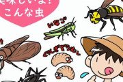 【衝撃】コオロギ食の研究をしただけで不買運動される企業ｗｗｗｗｗ