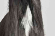 なんだかんだロングヘアをやめられない人〜！