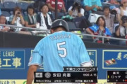 ロッテ安田(20).261 14本 62打点 OPS.803 イースタン本塁打打点の二冠