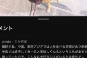 【地獄】韓国在住YouTuber「柴犬韓国で人気すぎて草」コメント欄大荒れ