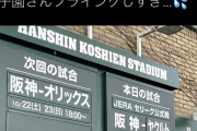 【阪神】甲子園さん、気が早すぎるｗｗｗｗｗｗｗｗｗｗｗｗｗｗ